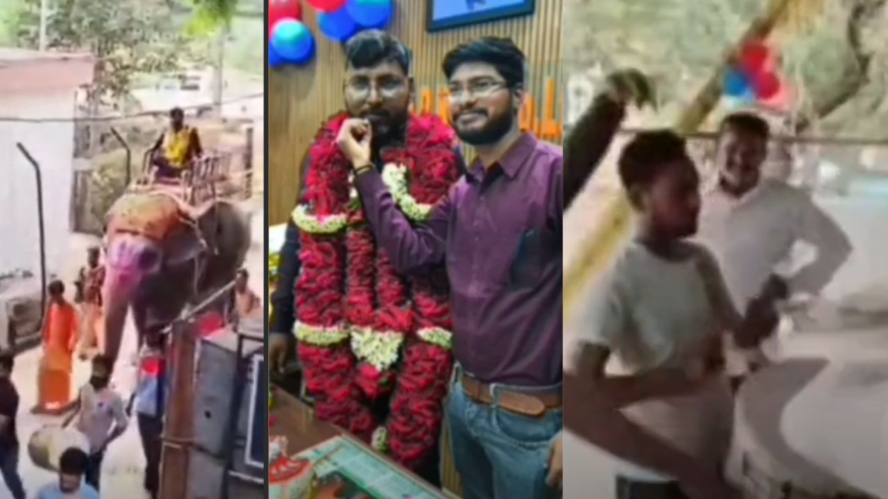 Ujjain Assistant Engineer Birthday: हाथी पर शाही एंट्री, नोटों की गड्डियों वाला केक; अधिकारी का जन्मदिन बना चर्चा का विषय