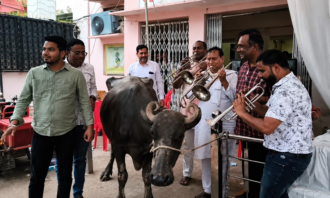 Gwalior News: डबरा में भैंस लेकर नगर पालिका पहुंचे पार्षद, बीन बजाकर किया प्रदर्शन; CMO-अध्यक्ष पर लगाए गंभीर आरोप