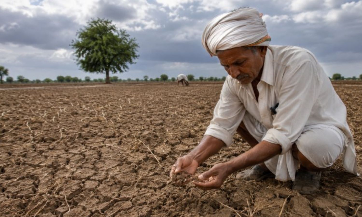 MP Monsoon Break : मानसून ब्रेक ने बढ़ाई चिंता! MP के 28 जिलों में 16% से 78% कम बारिश, फसलें सूखने से किसान परेशान