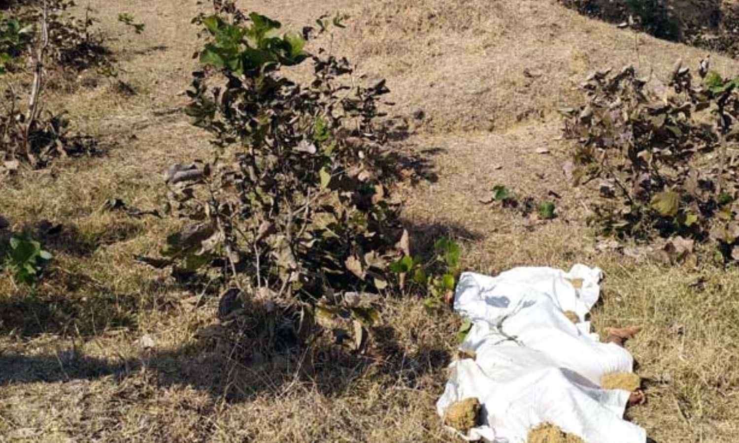 Narsinghpur Crime News : जंगल में मिली तीसरी क्लास छात्रा का अर्धनग्न शव, पड़ोसी गिरफ्तार
