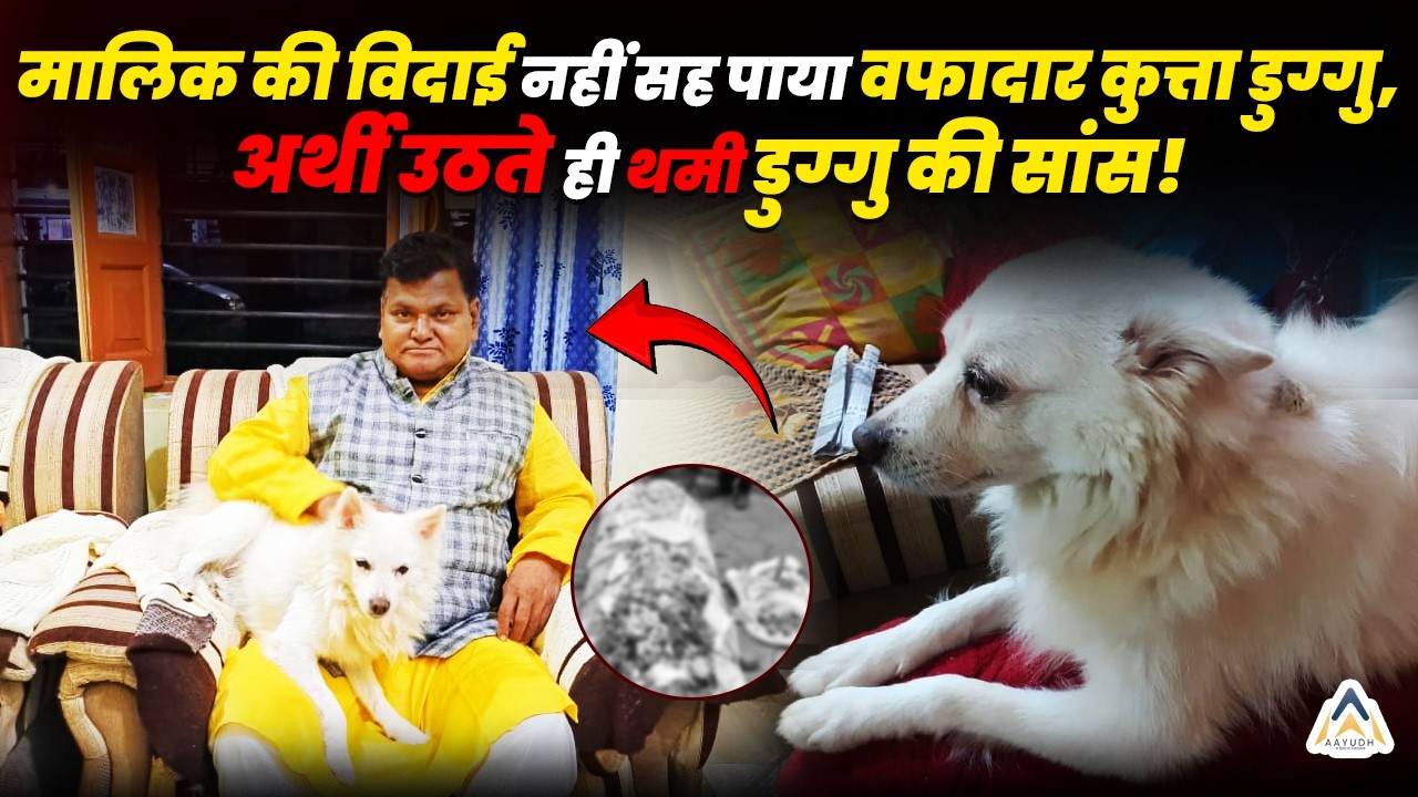 Betul में मालिक की विदाई नहीं सह पाया वफादार कुत्ता, अर्थी उठते ही थमी डुग्गु की सांसे!